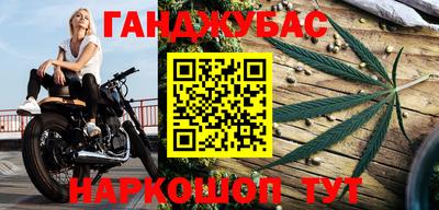 Альфа ПВП Сланцы
