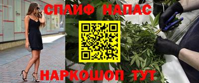 Альфа ПВП Сланцы