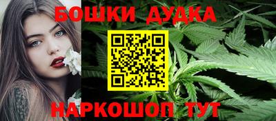 мдпв Славгород