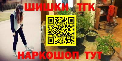 Альфа ПВП Сланцы