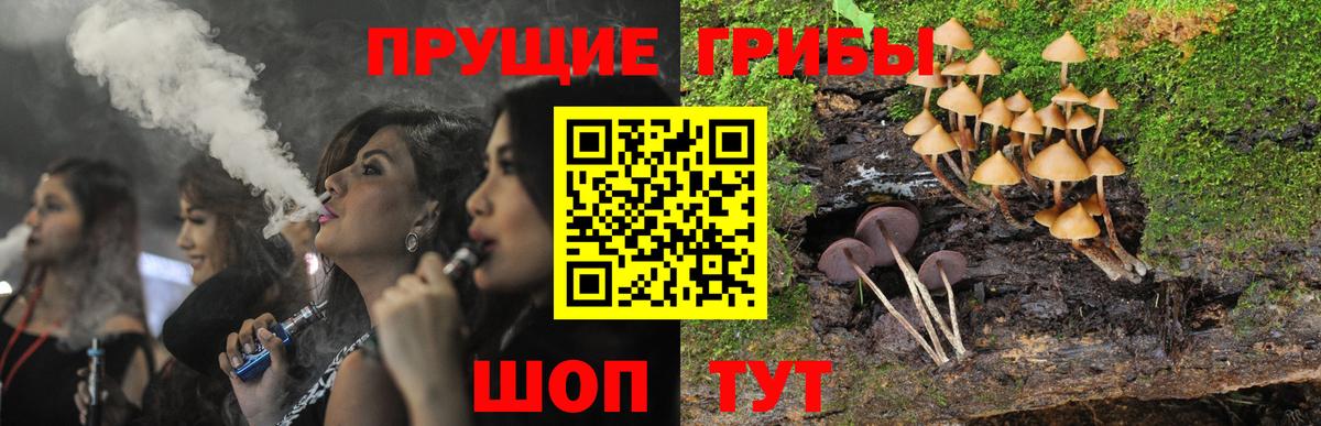 Галлюциногенные грибы MAGIC MUSHROOMS  Вход с VPN  Сибай  Галлюциногенные грибы ЛСД 